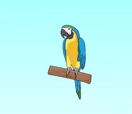 نقاشی کودکانه طوطی