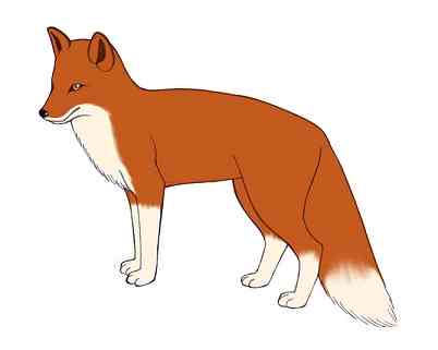 نقاشی کودکانه روباه
