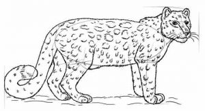 نقاشی کودکانه پلنگ