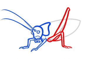 نقاشی ساده کودکانه ملخ