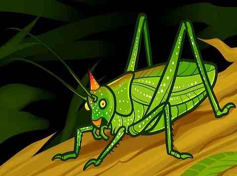 نقاشی ساده کودکانه ملخ