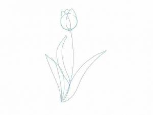 نقاشی گل لاله
