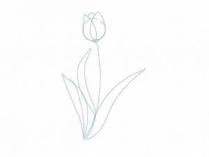 نقاشی گل لاله نقاشی گل لاله