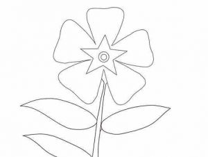 نقاشی گلبرگ گل نقاشی گلبرگ گل