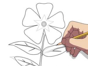 نقاشی گل ساده