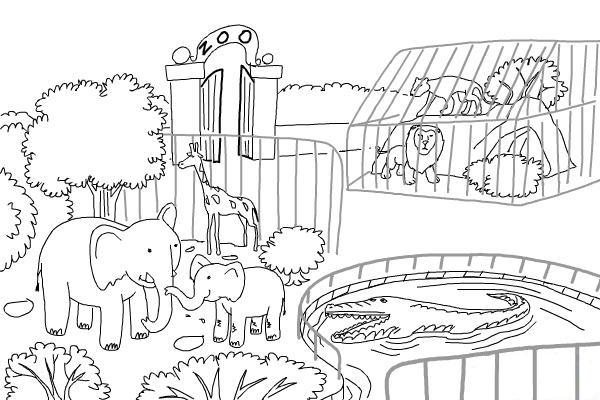 how-to-draw-a-zoo-step-10 - کودکان